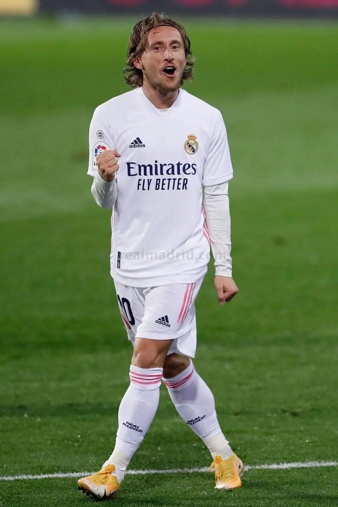 能引发强烈 能引发强烈